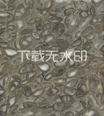 èʯʯ