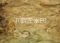 ˿֮·ʯ