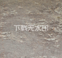 ƻҴʯ