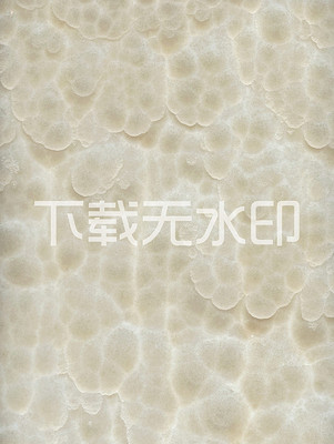 ������ʯ�����屳�� JPG