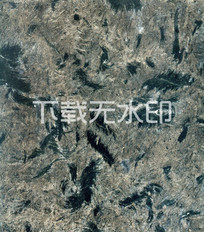 񻨸ұ
