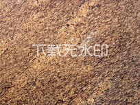ݽ黨ʯ