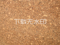 ۻʺ컨ʯƱ