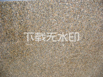 ŵ黨ʯƱ