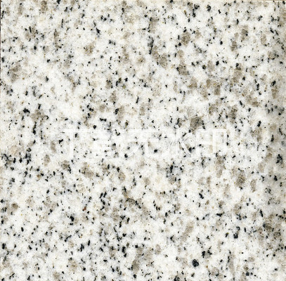 �������黨����ʯ������