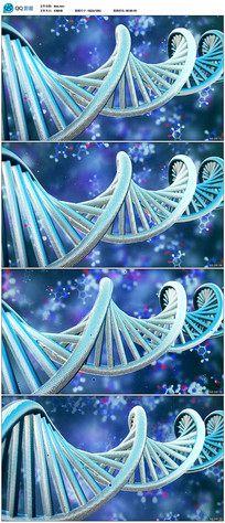 dna˫ҽѧƵ