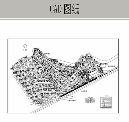 С��������ƹ滮 CAD