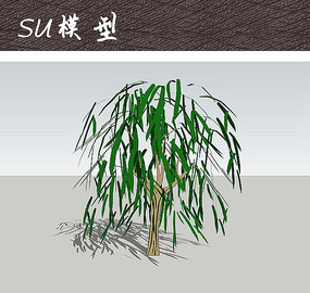 SU