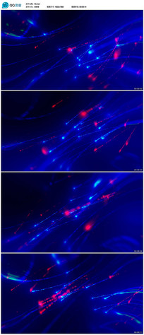 ��ɫ���ӹ�����̨����