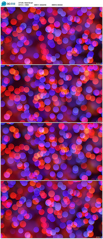 Ѥ����̬�����Ƶ