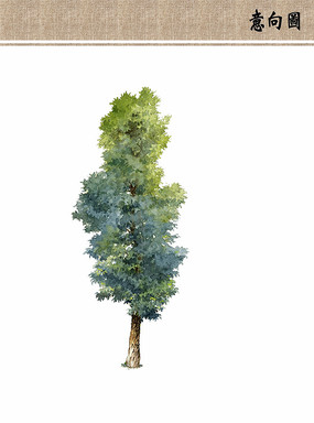 手绘立面树ps素材