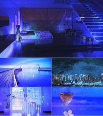 �¶�����Ƶ