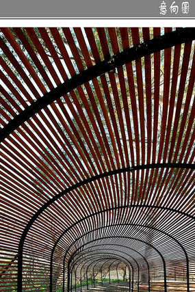 ���л���