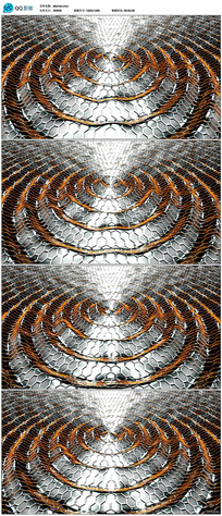 �������Ʊ�����Ƶ