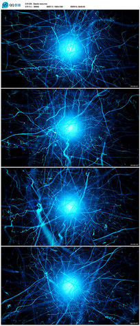 �������󱳾���Ƶ