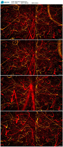 ��ɫ��������������Ƶ 