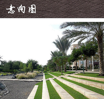 ̨������