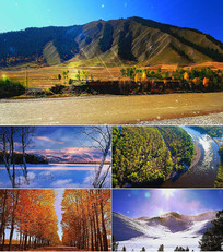 ����ɩ������̨������Ƶ