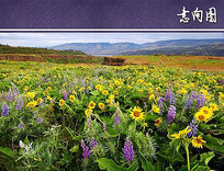 ����ֲ������