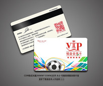 Լʱ򱳾VIP
