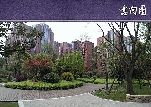 С��������