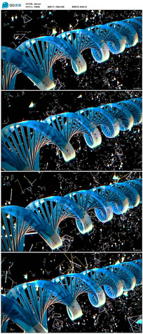 ��ɫ��άDNA��Ƶ