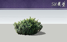 ɼSUģ