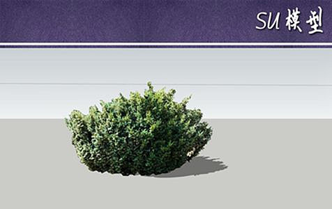 ����ɼSUģ��