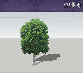 suģ
