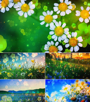 ����������ʱ����������̨����