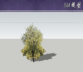 SUģ