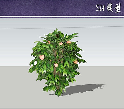 ����suģ��