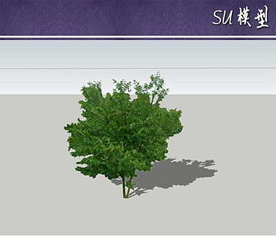 ������suģ�� skp