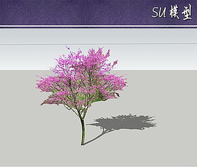 Ͼsuģ