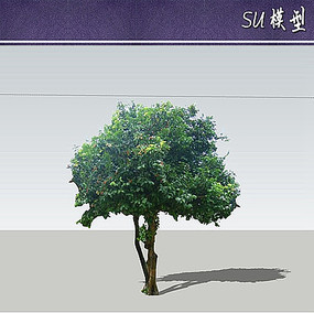 ƻsuģ
