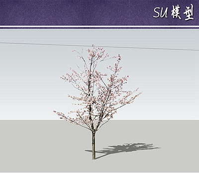 ����÷suģ��