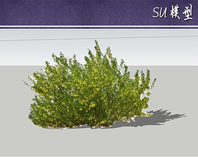 ����suģ��