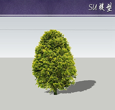 �ձ����suģ�� skp