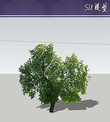 ɣ��suģ�� skp