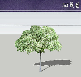 ɡλҶSUģ