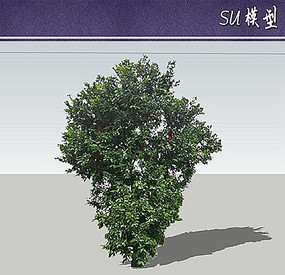 suģ