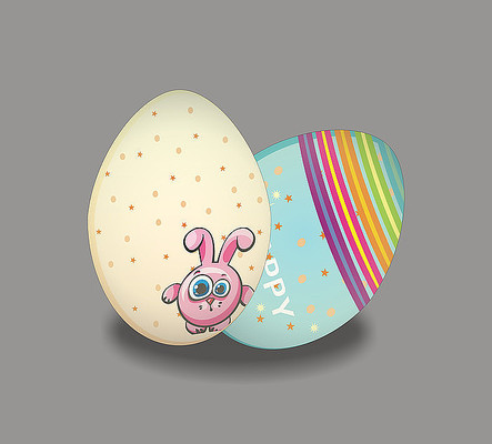 ����ڲʵ��ز� CDR