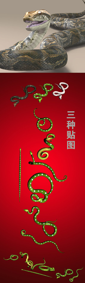 3DMAX������̬����