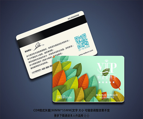 ����ʱ�д���vipģ�� CDR