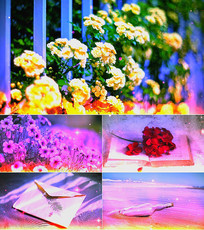 ֪ڵ𱳾Ƶ