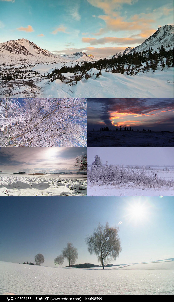 冬季雪景荒原高清视频素材