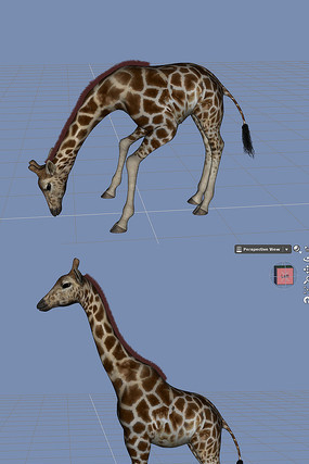 fbx ����¹4����̬��Ƥ