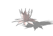 ܵ