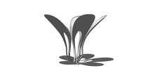 ε