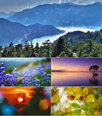 ���������������̨������Ƶ